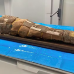 Exame revela mistério em múmia egípcia de criança de 8 anos