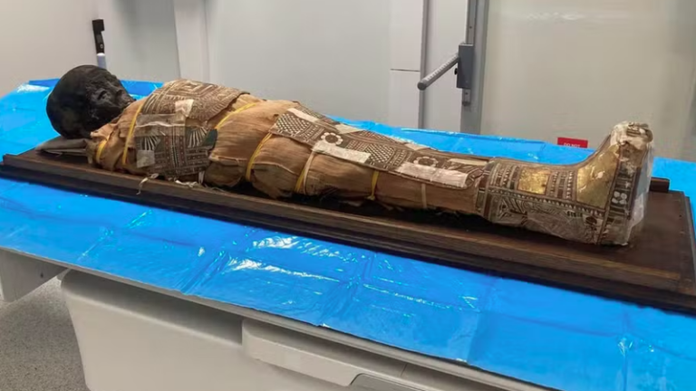 Exame revela mistério em múmia egípcia de criança de 8 anos