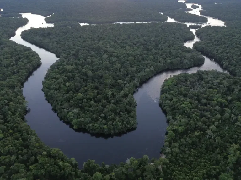 Vista do Rio Juruena, na Terra Indígena Erikpatsa, do Povo Rikbaktsa