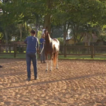 Expo Agro Itapetininga 2026: Conexões e Oportunidades Rurais Expo Agro Itapetininga 2026: Conexões e Oportunidades Rurais