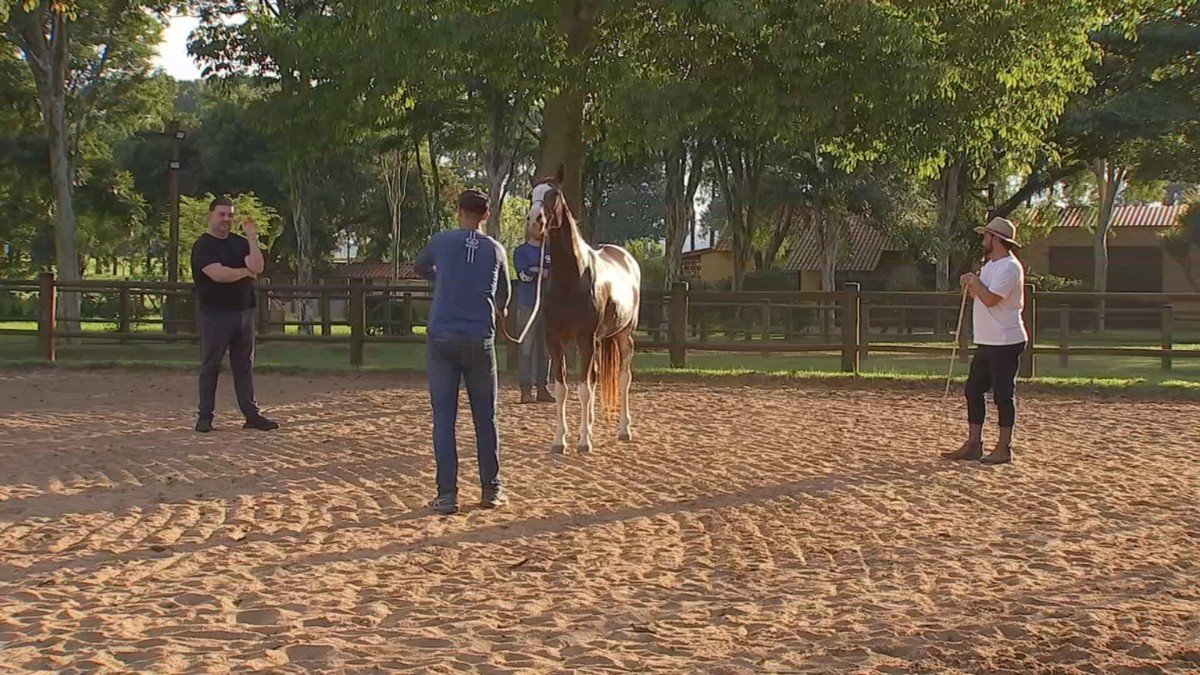 Expo Agro Itapetininga 2026: Conexões e Oportunidades Rurais