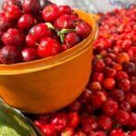 Feira de Agricultura Familiar une produtores de Alagoas