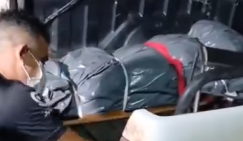 filho de professora morta a facadas é detido como principal suspeito