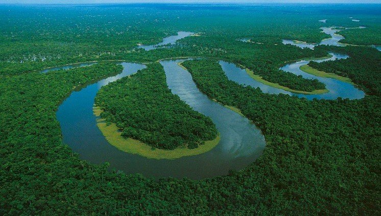Fundo Amazônia destinará R$ 357 milhões a projetos de bioeconomia