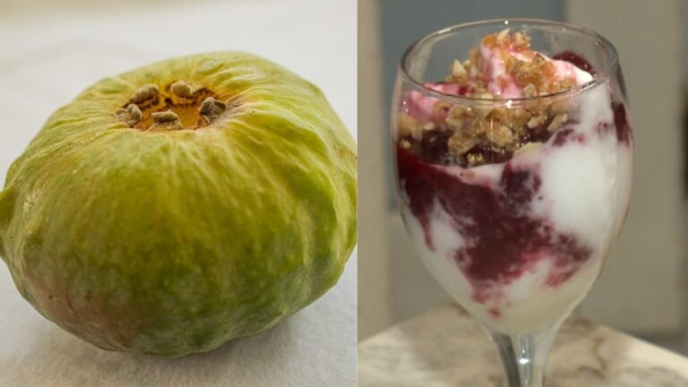 Gabiroba Gigante: A Fruta da Mata Atlântica que Conquistou Prêmios