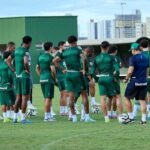 Goiás e Criciúma: Guia Completo para Assistir ao Jogo da Série B Goiás e Criciúma: Guia Completo para Assistir ao Jogo da Série B