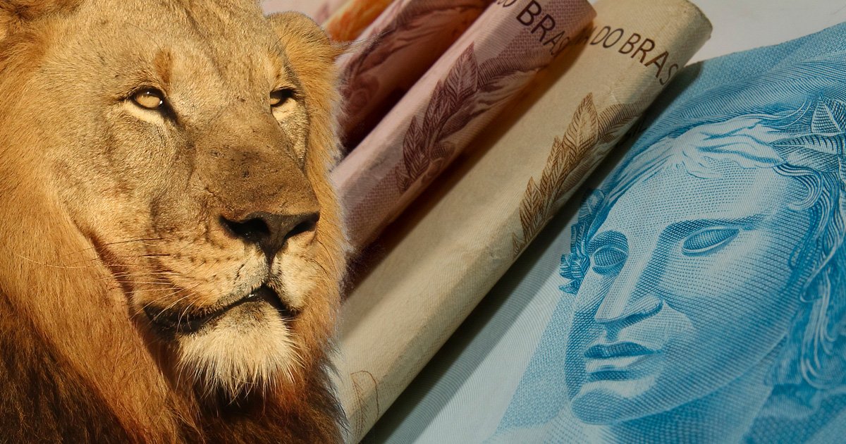 Imagem da face de um leão sobreposta a cédulas de real, indicando o leão do imposto de renda