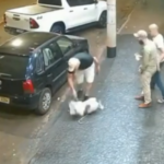 Homem e cachorro esfaqueados ao defender mulher de agressão