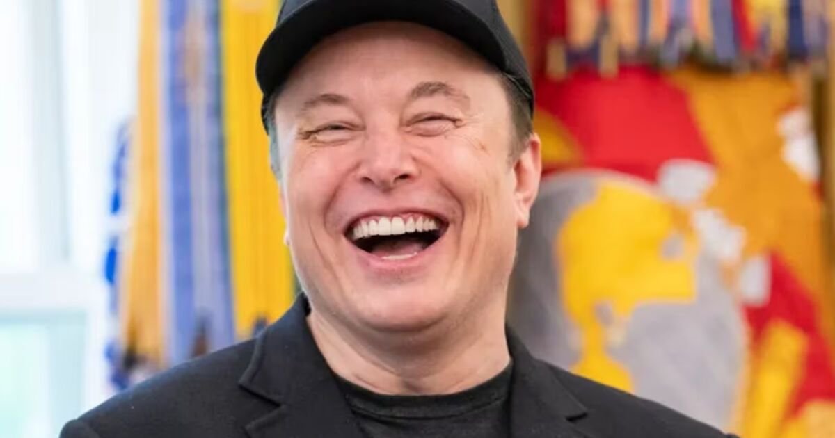Idosa acredita que namora Elon Musk e leva prejuízo de R$ 50 mil