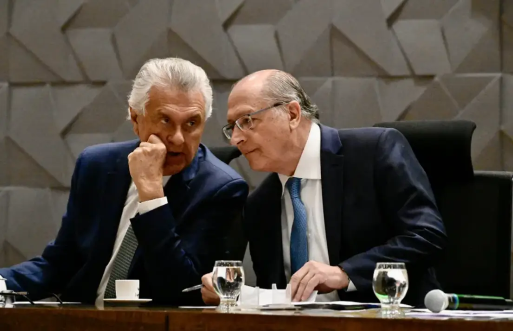 Importância da Candidatura: Incentivo à Participação Política