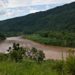 Incentivos Financeiros: Guia para Potencializar a Conservação Ambiental