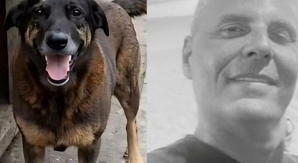 Indiciado por suposta coação no caso Cão Orelha morre em Floranópolis