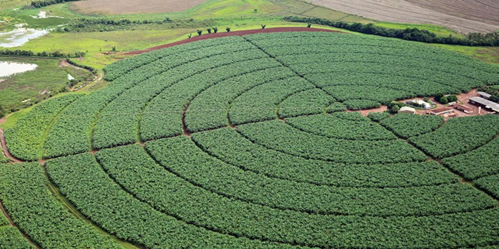 Indonésia fecha acordo para exportar fertilizantes ao Brasil e outros países