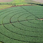 Indonésia fecha acordo para exportar fertilizantes ao Brasil e outros países