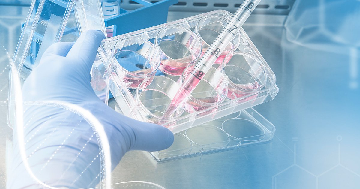 destaque de análise laboratorial mostra mãos com luvas azuis manipulando placa transparente com vários poços circulares, alguns contendo um líquido rosado, e uma pipeta graduada