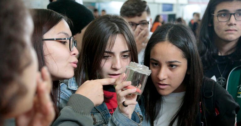 Abertas inscrições de visitas monitoradas para ajudar jovens na escolha da carreira – Jornal da USP