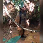 Jovem soldado do Exército impressiona com imitação de galo