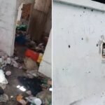 Justiça decide pela internação de acumulador em Delmiro Gouveia