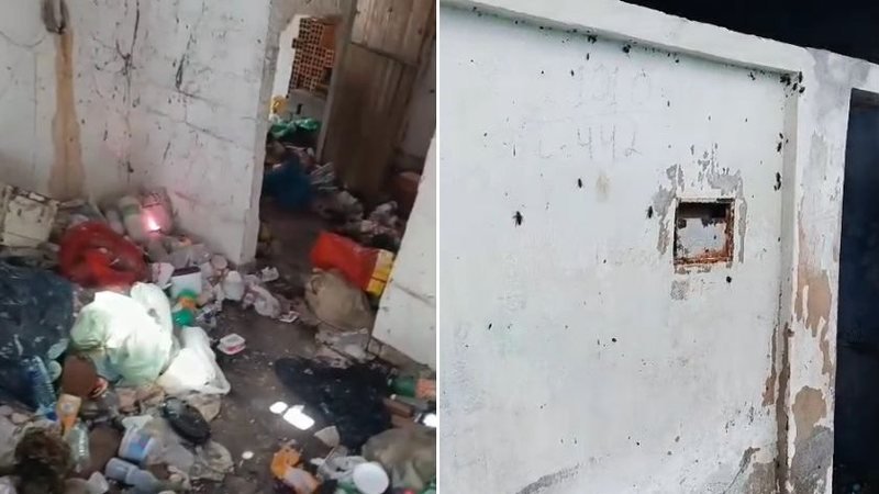 Justiça decide pela internação de acumulador em Delmiro Gouveia