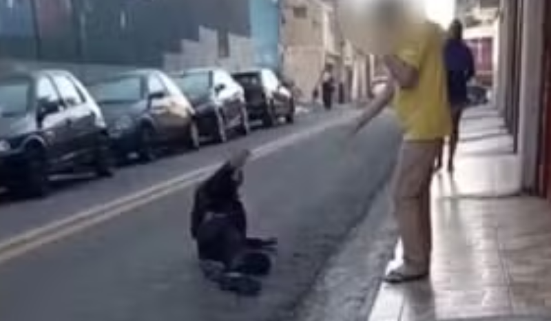 bandido é baleado, chora e pede desculpa a dono de mercado