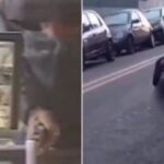 Ladrão suplica por perdão após ser ferido em assalto a mercado