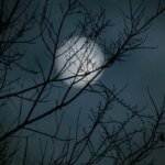 Lua Nova Hoje: Descubra a Fase Lunar de 17 de Abril