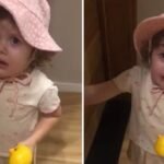 Menina busca pintinho enquanto segura brinquedo e viraliza