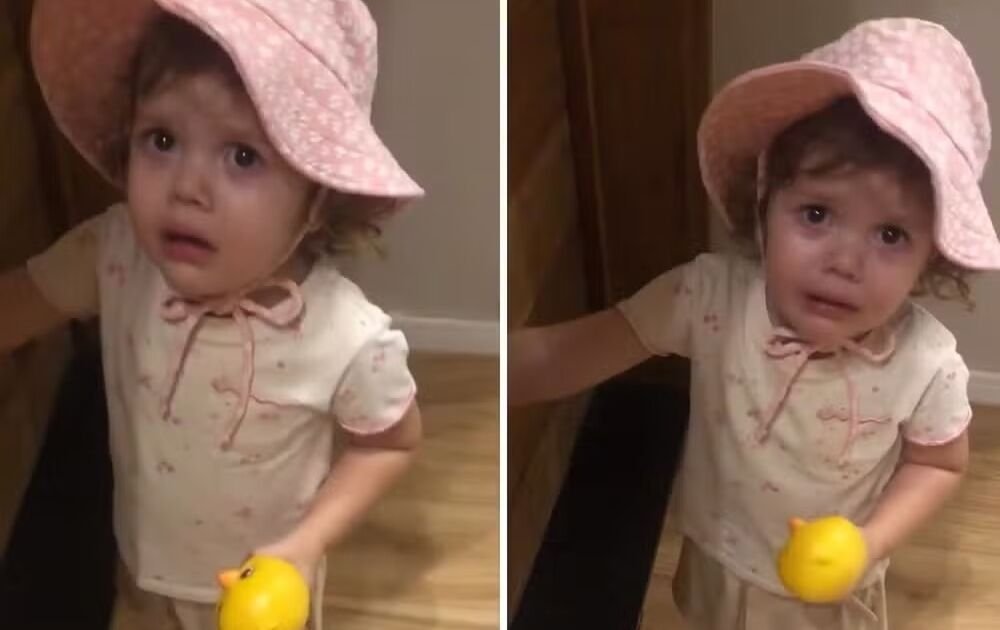 menina procura pintinho sem notar brinquedo na mão e viraliza na web