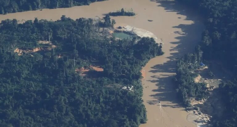 MPF denuncia mineração ilegal na Amazônia à CIDH