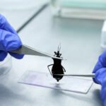 Ministério da Saúde destina R$ 12 milhões no combate à Chagas Ministério da Saúde destina R$ 12 milhões no combate à Chagas