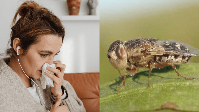 Mulher enfrenta infecção rara com larvas saindo do nariz