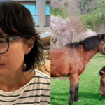 Museu oferece experiência olfativa com cheiros de cavalo