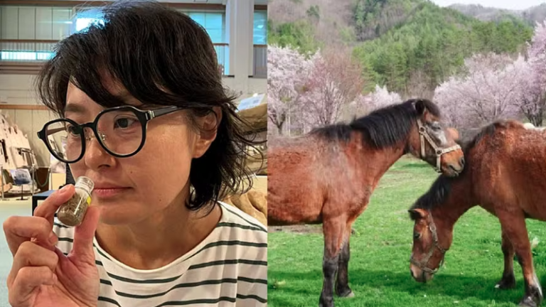 Museu oferece experiência olfativa com cheiros de cavalo