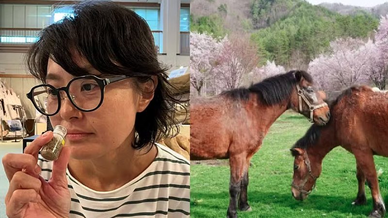 Museu oferece experiência olfativa com cheiros de cavalo