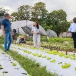 Nova fase da Estratégia Alimenta Cidades abrange mil municípios