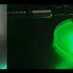 Nova terapia fotodinâmica promete cura para infecções oculares graves