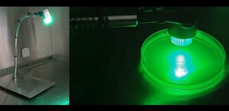 Combinação inédita em terapia fotodinâmica pode tratar infecção grave nos olhos – Jornal da USP