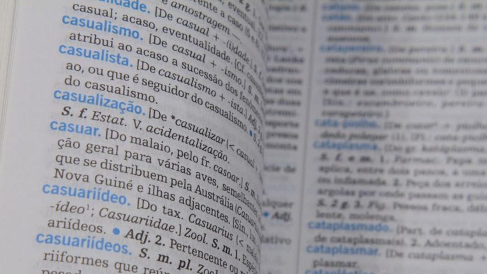 Novas Palavras que Podem Integrar a Língua Portuguesa Oficialmente