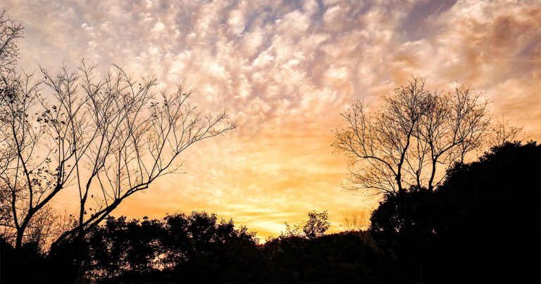Verão de extremos abre caminho para outono mais quente e seco – Jornal da USP