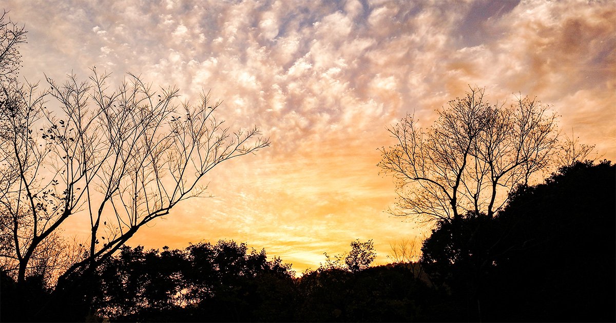 Verão de extremos abre caminho para outono mais quente e seco – Jornal da USP