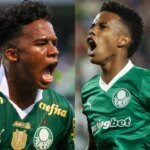 Palmeiras lidera lucros na base entre clubes brasileiros desde 2021 Palmeiras lidera lucros na base entre clubes brasileiros desde 2021