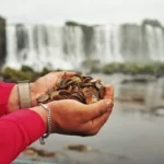 Parque Nacional do Iguaçu retira 383 kg de moedas das cataratas