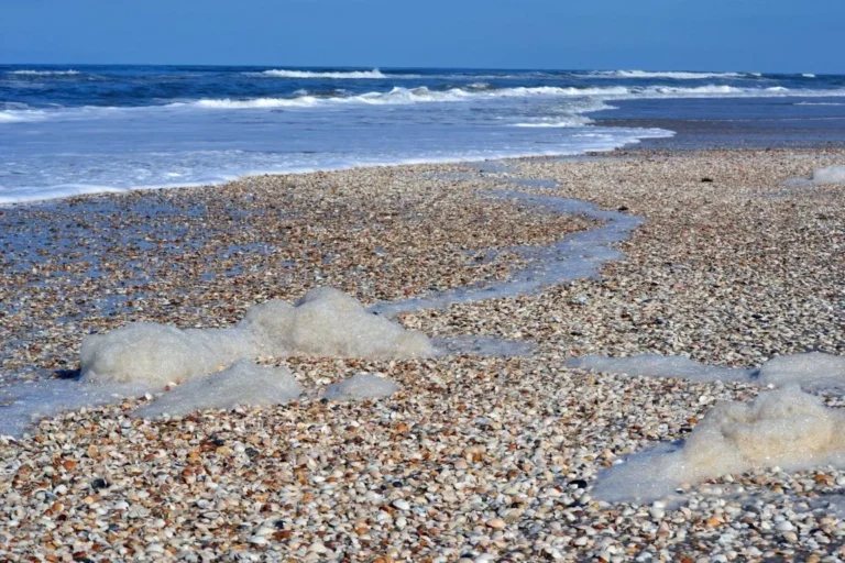 Concheiros no Parque do Albardao, no sul do Rio Grande do Sul