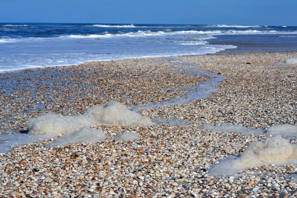 Concheiros no Parque do Albardao, no sul do Rio Grande do Sul