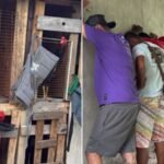 Polícia desmantela rinha de galo em Salvador e resgata 30 animais Polícia desmantela rinha de galo em Salvador e resgata 30 animais