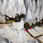 Qualidade do Bacalhau: Dicas Imperdíveis para a Semana Santa