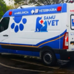 SamuVet: Atendimento Veterinário Emergencial Inicia em BH SamuVet: Atendimento Veterinário Emergencial Inicia em BH