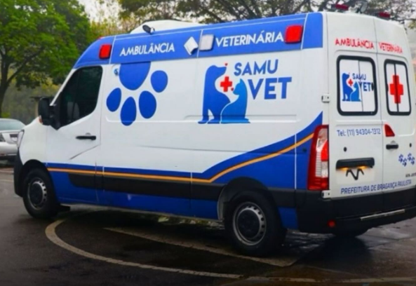 'SamuVet' para cães e gatos começa a operar nesta segunda-feira em BH