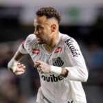 Santos x Remo: guia completo do jogo do Brasileirão 2023