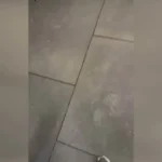 Scarpa Treina Forte na Academia: Preparação do Atlético-MG Scarpa Treina Forte na Academia: Preparação do Atlético-MG